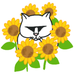 [LINEスタンプ] ゴルねこスタンプ 夏バージョン