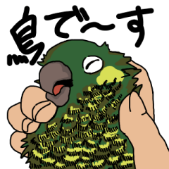 [LINEスタンプ] 鳥で～す