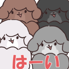 [LINEスタンプ] 羊カットにされたトイプードル