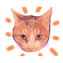 [LINEスタンプ] ちびスタンプ に