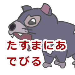 [LINEスタンプ] タスマニアデビルのタケオ君