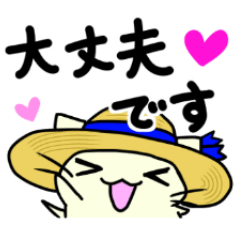 [LINEスタンプ] 毎日使えるみーすけスタンプ＜夏＞