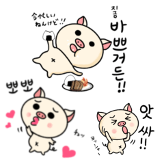 [LINEスタンプ] サムギョプサルちゃん韓国語（日本語翻訳）