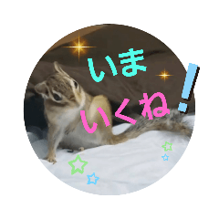 [LINEスタンプ] みんなと一緒✨