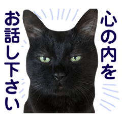 [LINEスタンプ] 黒猫トムチ4