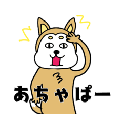 [LINEスタンプ] 柴丸柴男