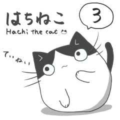 [LINEスタンプ] はちねこ@宅建士3 敬語・丁寧