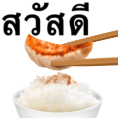 [LINEスタンプ] ワンバウンド 餃子です ご飯 タイ語