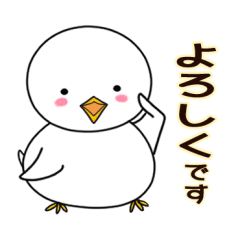 [LINEスタンプ] 白ぴよピの気楽に使えるスタンプ【日常】