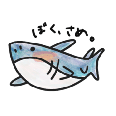 [LINEスタンプ] ぼく、さめ。