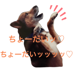 [LINEスタンプ] しもてぃーず7