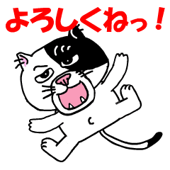 [LINEスタンプ] かわいくて目つきの悪いぶちネコ