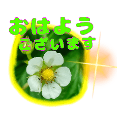 [LINEスタンプ] 大文字 丁寧語と山野草 6