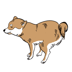 [LINEスタンプ] 柴犬まさるのゆるい毎日