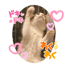[LINEスタンプ] 優稀ちゃんスタンプ3