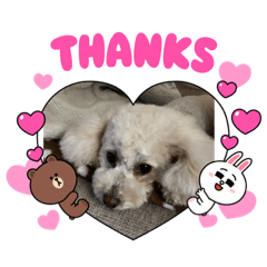 [LINEスタンプ] 私はランコ3