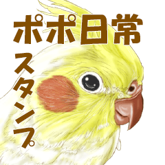 [LINEスタンプ] オカメインコのポポちゃんスタンプ