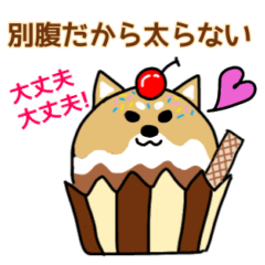 [LINEスタンプ] Mr.柴犬のパワーワード