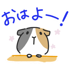 [LINEスタンプ] モルモット（三毛）スタンプ