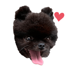 [LINEスタンプ] 推しアニマル