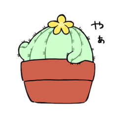 [LINEスタンプ] 丸いサボテン『天ちゃん』