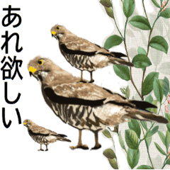 [LINEスタンプ] 花鳥園