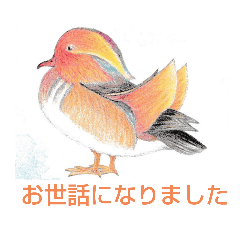 [LINEスタンプ] あざやかな色の鳥とリゾート風景