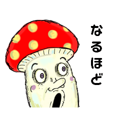 [LINEスタンプ] こんなキノコ好きですか？