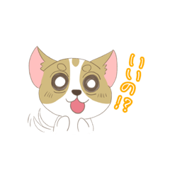 [LINEスタンプ] チワワのミーたん〜日常編〜