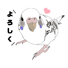 [LINEスタンプ] インコとワンコの毎日使えるスタンプ