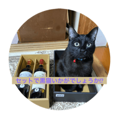 [LINEスタンプ] 黒猫チャージャーのスタンプです