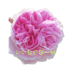 [LINEスタンプ] 花♪