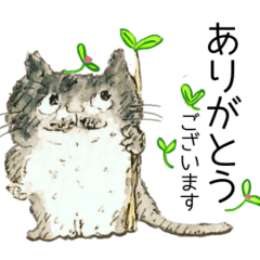 [LINEスタンプ] いつもの黒白猫のおちょこさんにゃ！