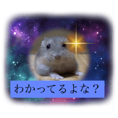 [LINEスタンプ] 床の間ハムスターぴの子2〜激怒編〜