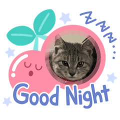 [LINEスタンプ] 保護猫 ＆ COCO ❹