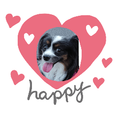 [LINEスタンプ] パピヨンのリロ♪のハッピースタンプ♥