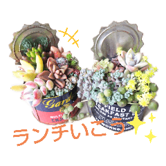 [LINEスタンプ] 癒しの多肉植物②