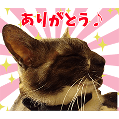 [LINEスタンプ] アランくん★