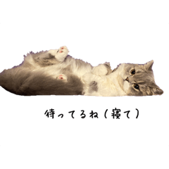 [LINEスタンプ] レイジーでアンニュイなエトワラ