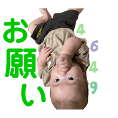 [LINEスタンプ] ボクはアオ3
