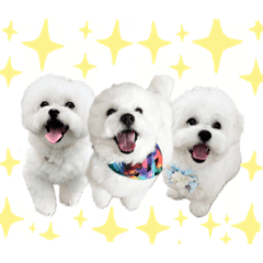 [LINEスタンプ] ☆むぎちょこみるく☆ペキビション