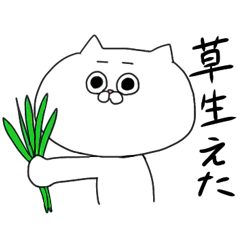 [LINEスタンプ] 白ねこ。流行語を話す