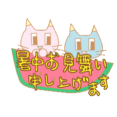 [LINEスタンプ] なかよしねこの夏スタンプ（はっきり文字）