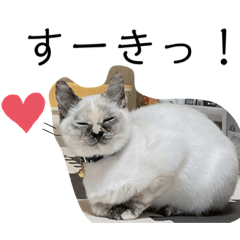 [LINEスタンプ] おてんばニアたん