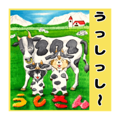 [LINEスタンプ] 柴犬とシーズーのほんわかスタンプ3