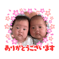 [LINEスタンプ] えみしょースタンプ
