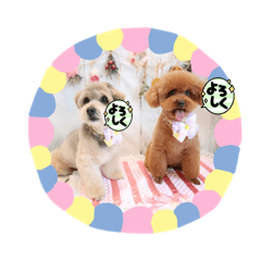 [LINEスタンプ] 心はひとつ(๑˃̵ᴗ˂̵)