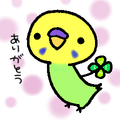 [LINEスタンプ] 毎日使えるインコのしめじ