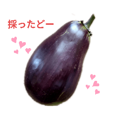 [LINEスタンプ] 野菜を採ったど