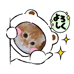 [LINEスタンプ] ミヌエットのむぎちゃん